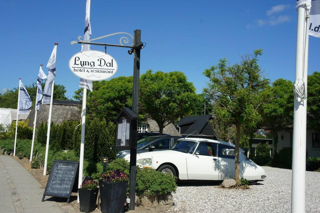 Lyng Dal Hotel Og Restaurant Ry Экстерьер фото